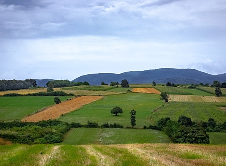 Arsa Nedir, Arsa Türleri Nelerdir?