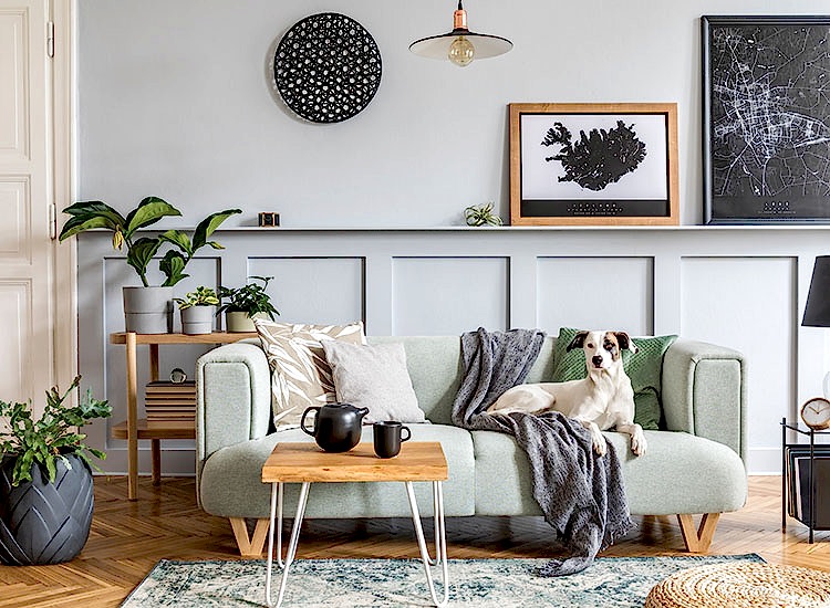 Ev Dekorasyonunda İlham Verici 3 Akım